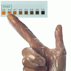 Careplan VpH – rękawice testowe do badania pH pochwy - 20 sztuk